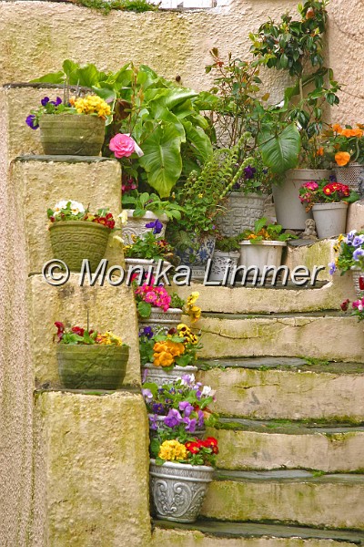 6905_treppe in polp..jpg